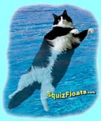 SquizFloats.com Logo