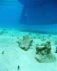 Conch under my keel in the shallow anchorages of the Turks & Caicos.